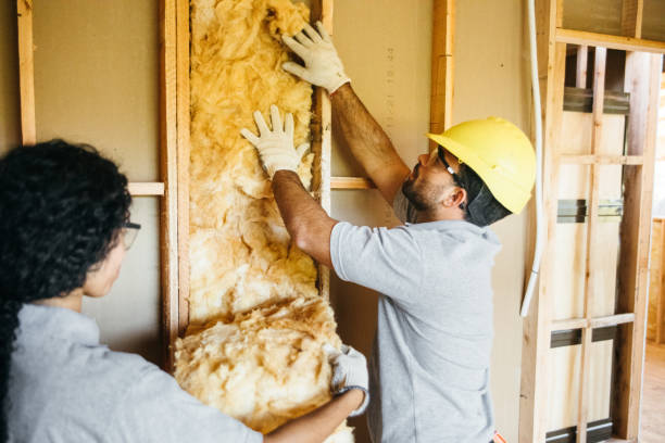 Best Insulation Contractor Near Me  in Monticello, IA