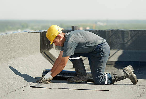 Best Insulation Removal  in Monticello, IA
